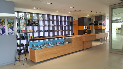 177 Oxford Rd, Rosebank, Johannesburg, 2196